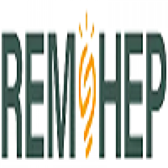 Illuminate Your Space with Exquisite Handcrafted Chandeliers – Remshep.com