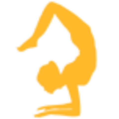 Yoga Teacher Training Course in India | Mahi Yoga School