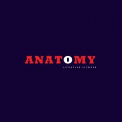 anatomylifestylefitness