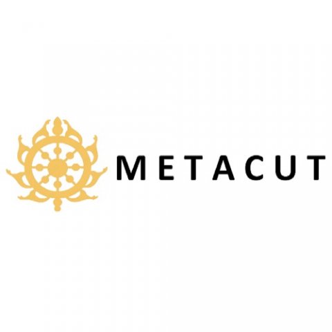 The Metacut Inc.