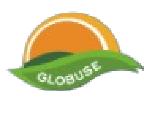 Globuse Realtors