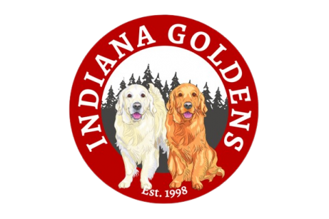 Indiana Goldens