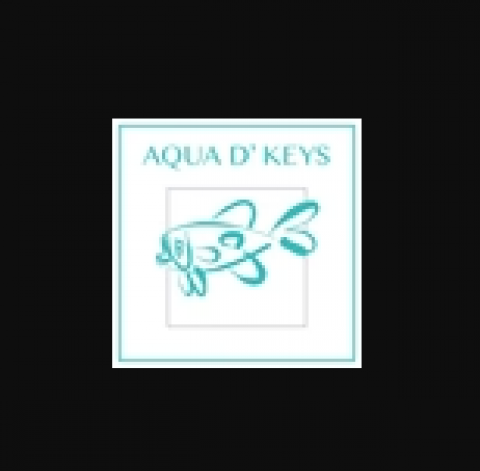 AQUA D’ KEYS