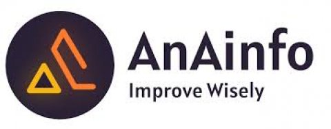 https://anainfo.com/web-development-company/