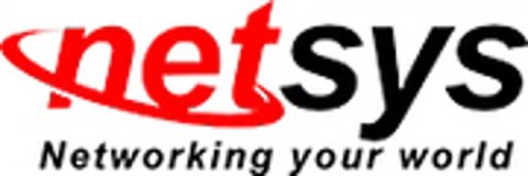 Netsys-America, LLC