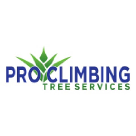 Pro Climbing Tree Services