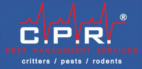 Pest Control Hunter Valley - CPR Pest Services