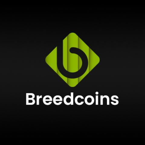 Casino Game Development Company | Breedcoins