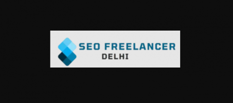 SEO Freelancer In Delhi