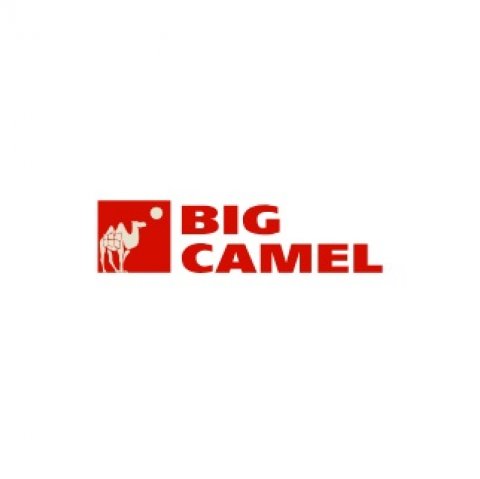 Big Camel Moving & Storage