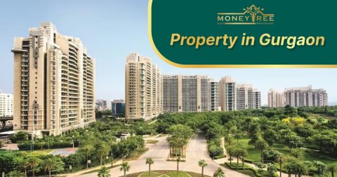 Gurgaon Properties | Buy Property in Gurgaon | Real Estate in Gurgaon