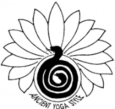 Yoga Teacher Training in Rishikesh India