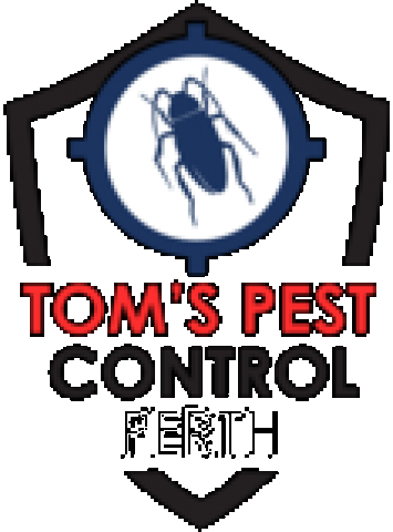 Pest Control Perth | Tom’s Pest Control Perth