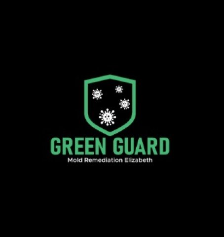 Green Guard Mold Specialist Elizabeth