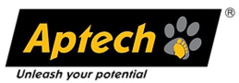 Aptech Meerut