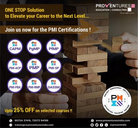 pmi sp certification training