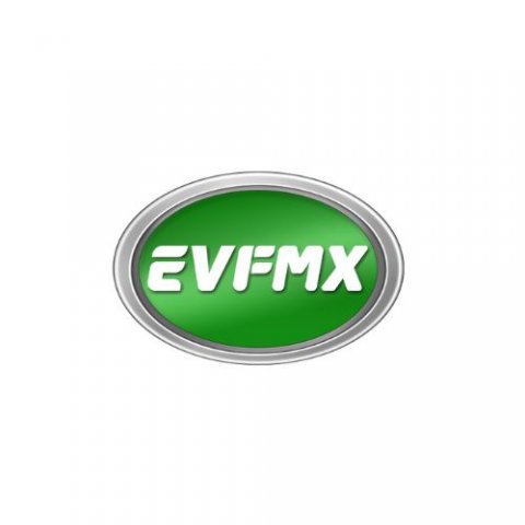 Jiangsu FMX Electric Vehicle Co., Ltd.