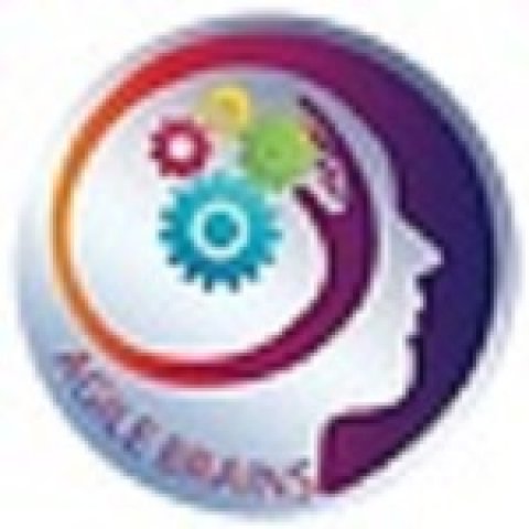 Agilebrainsconsulting