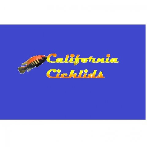 CaliforniaCichlids.com