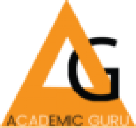 AcademicGuru24x7