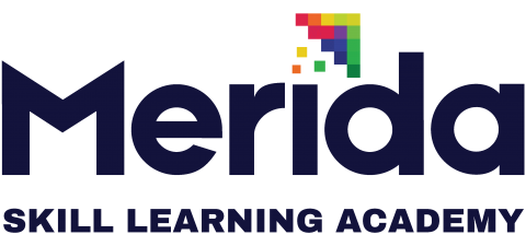 SKILL LEARNING ACADEMY