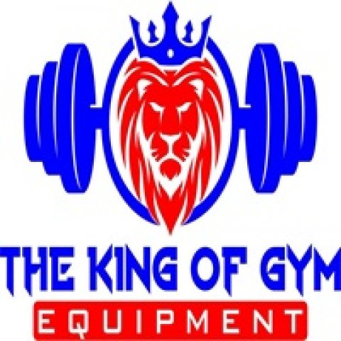 The King of Gym Equipment - Outdoor Children Play Equipment