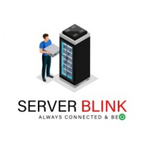 Server Blink: Your Expert in High-Performance RAID Controller Cards