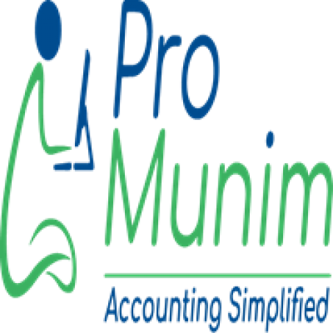 ProMunim - Best CA Firm in Pune