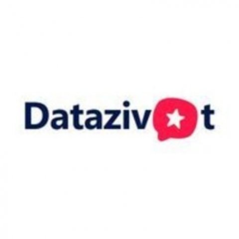 DataZivot