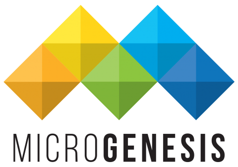 MicroGenesis TechSoft Pvt LTd