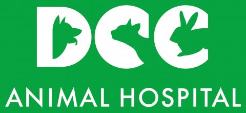 DCC Animal Hospital