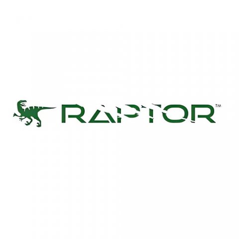 Las Vegas SEO Raptor