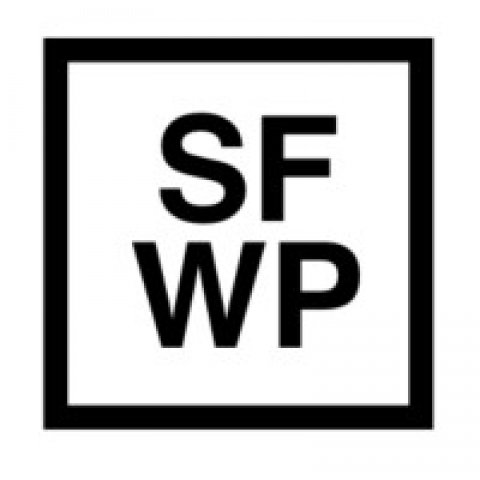 Wordpress Website Design Company  SFWPExperts