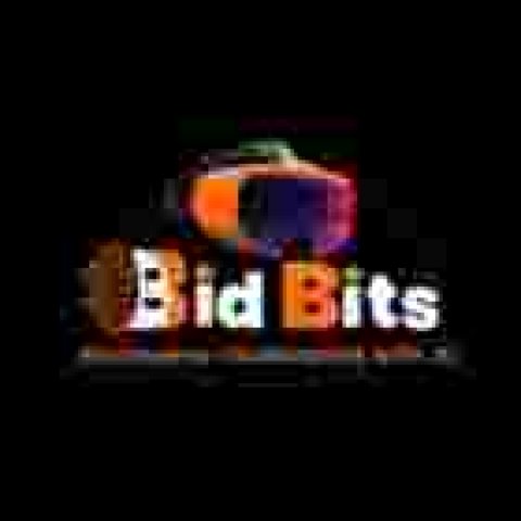 Bidbits (Unity 3D game development Company)