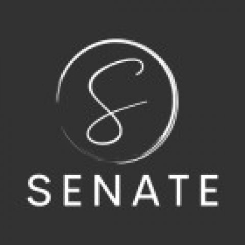 Senate Marketing | Digital Marketing Agency | Mumbai