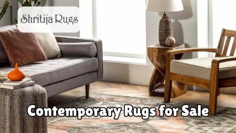 Shritija Rugs for Modern Living: Contemporary Rugs for Sale