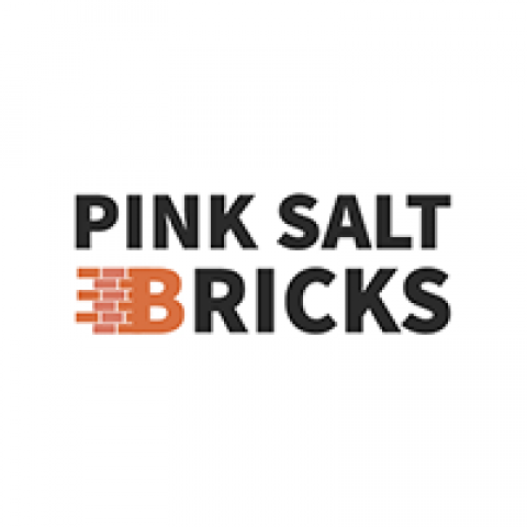 Pink Salt Bricks