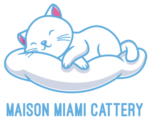 Maison Miami Cattery