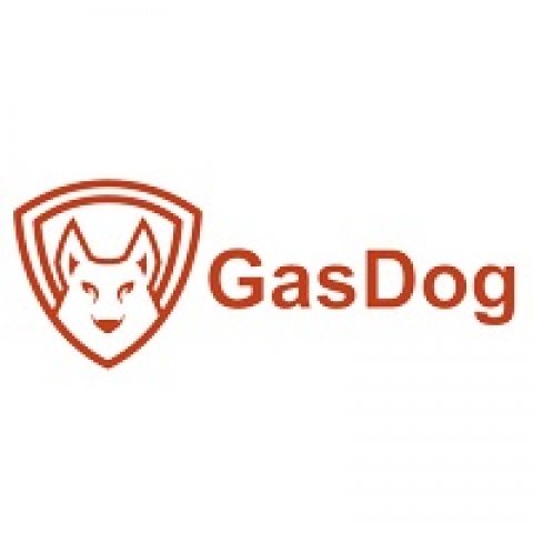 Gas Dog Advanced Multi Gas Detectors