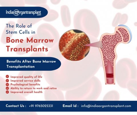 Best Hospitals for Bone Marrow Transplant in India