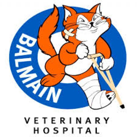 Balmain Veterinary Hospital