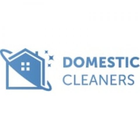 Star Domestic Cleaners Brixton