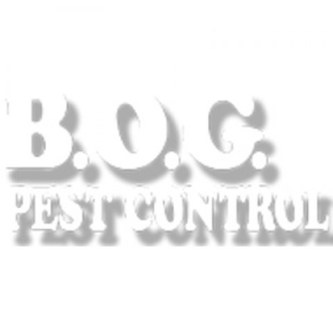 B.O.G. Pest Control