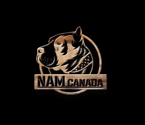 North American Mastiff (NAM)