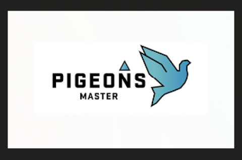 Pigeons Master