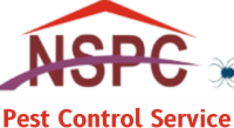 Pest Control Commercial Gurgaon