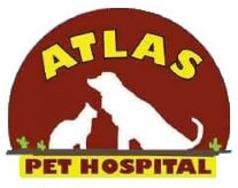 Atlas Pet Hospital