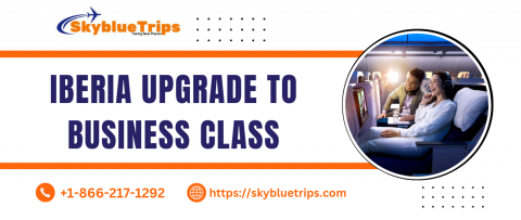 upgrade iberia to business class