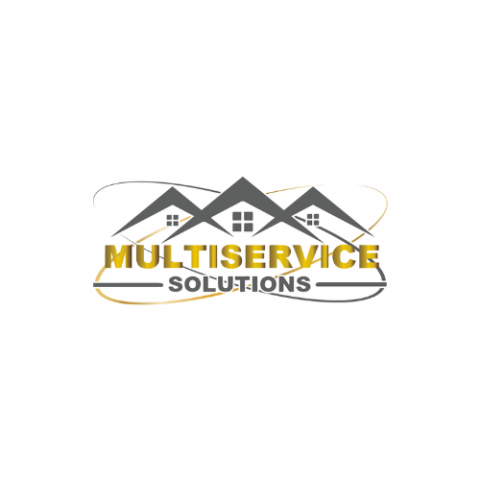 Multiservice Solutions Ltd