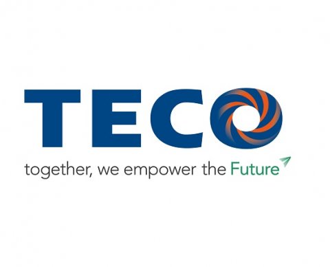 TECO Electric Motors